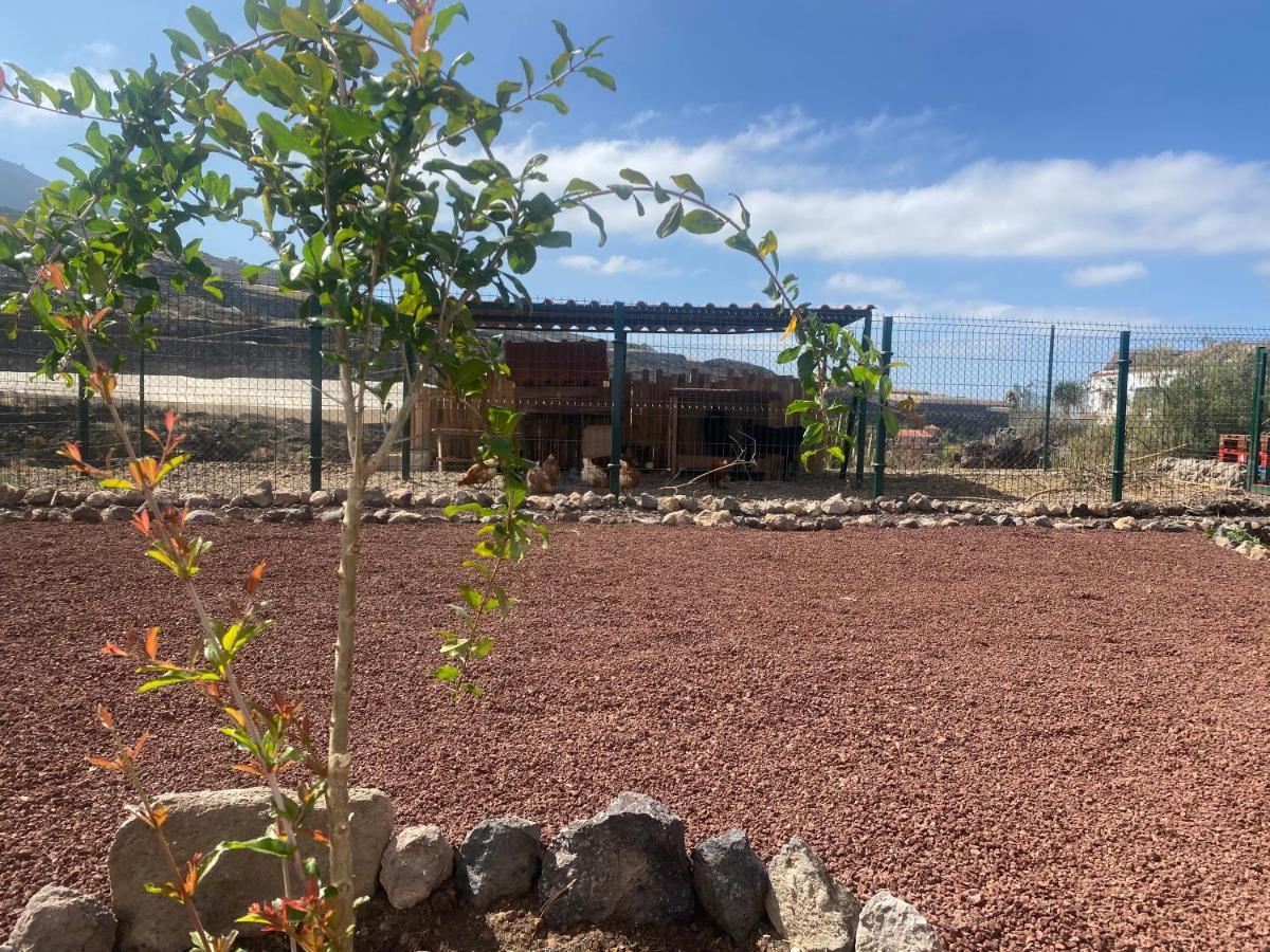 Mini Casa Finca Arcoiris Tenerife Guía de Isora Zewnętrze zdjęcie
