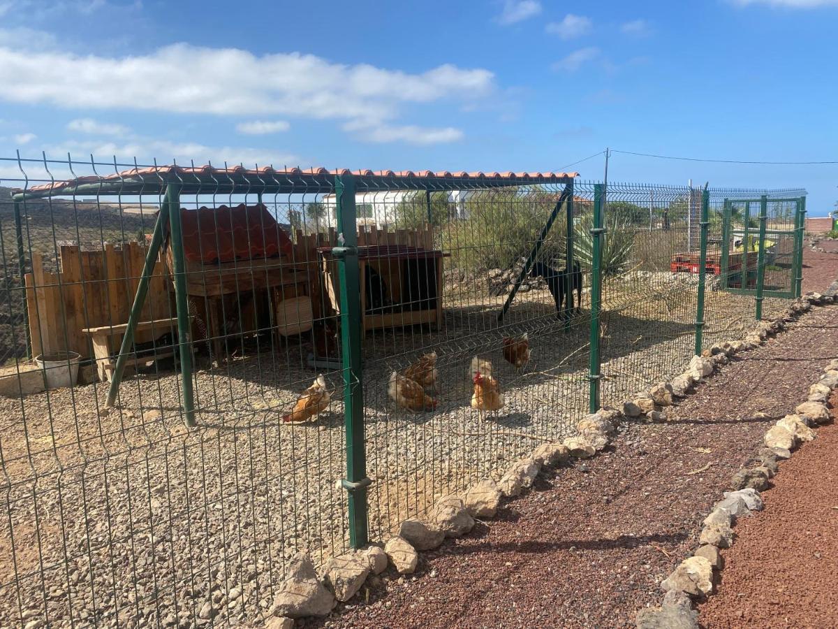 Mini Casa Finca Arcoiris Tenerife Guía de Isora Zewnętrze zdjęcie