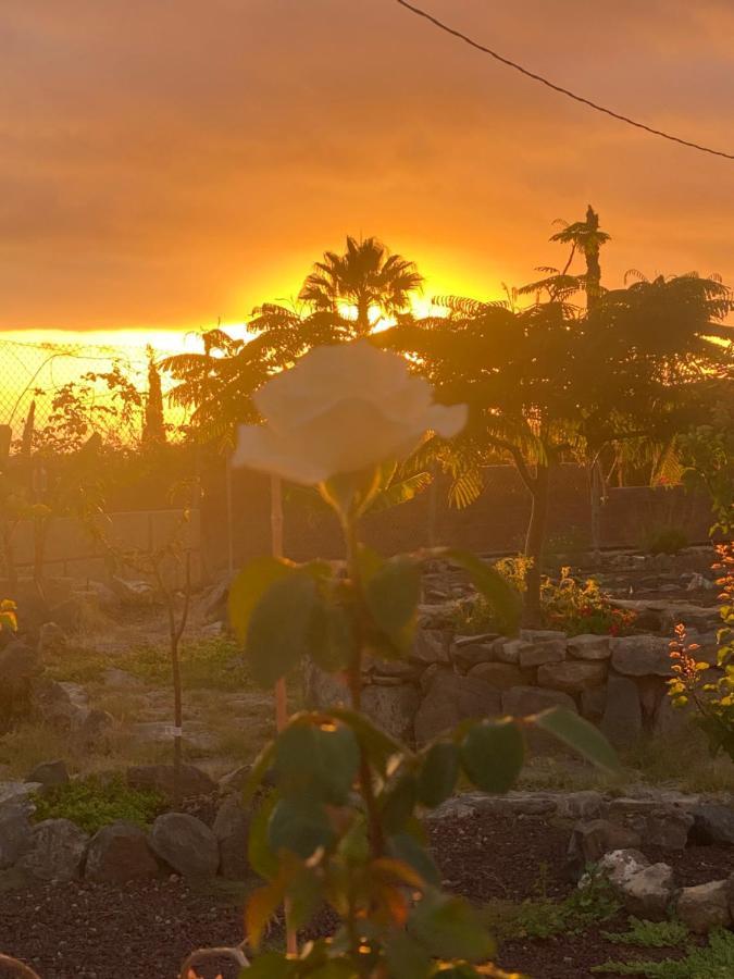 Mini Casa Finca Arcoiris Tenerife Guía de Isora Zewnętrze zdjęcie